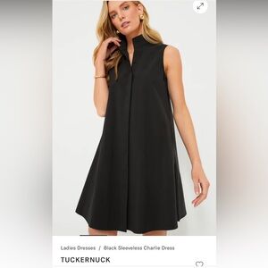 Tuckernuck black dress small